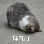求一个mio的参qwq (｡•́︿•̀｡)ﾉ+: ･ﾟ 