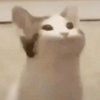 e8OfqyrAqtvBXSGxGDijQeORVInrJBZe.gif_s200x0.gif