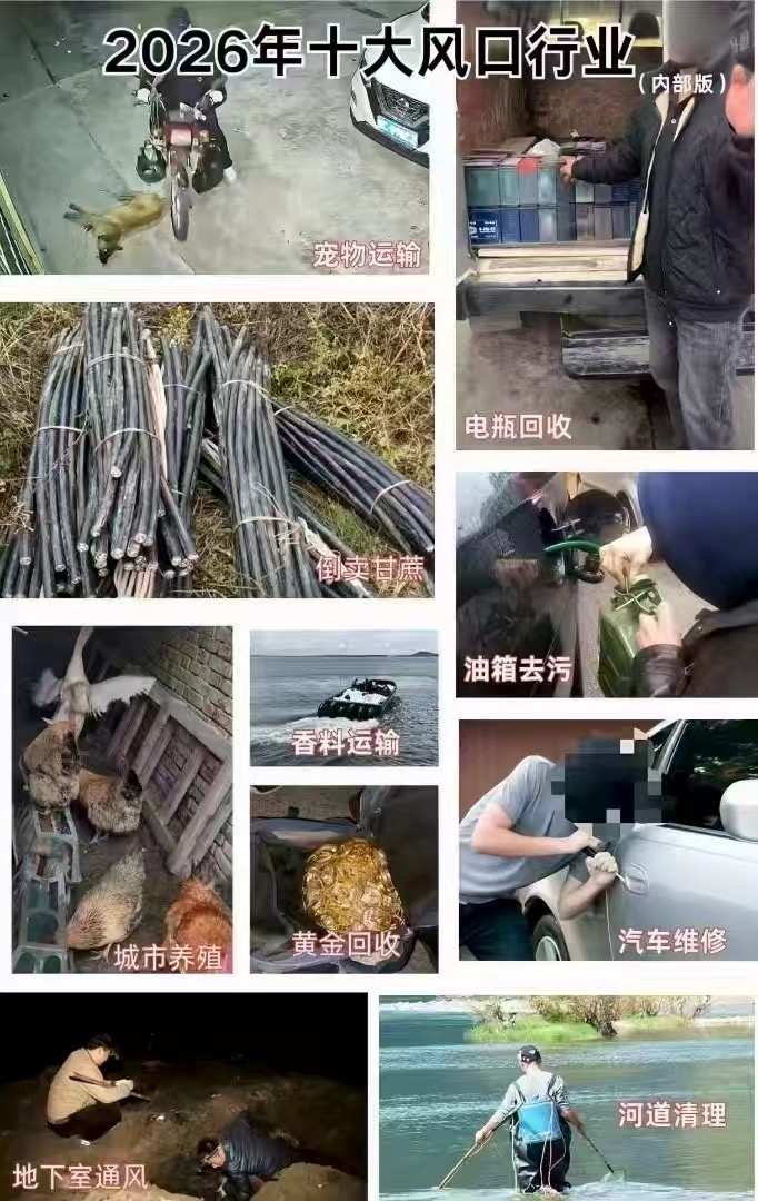 2026年十大风口行业